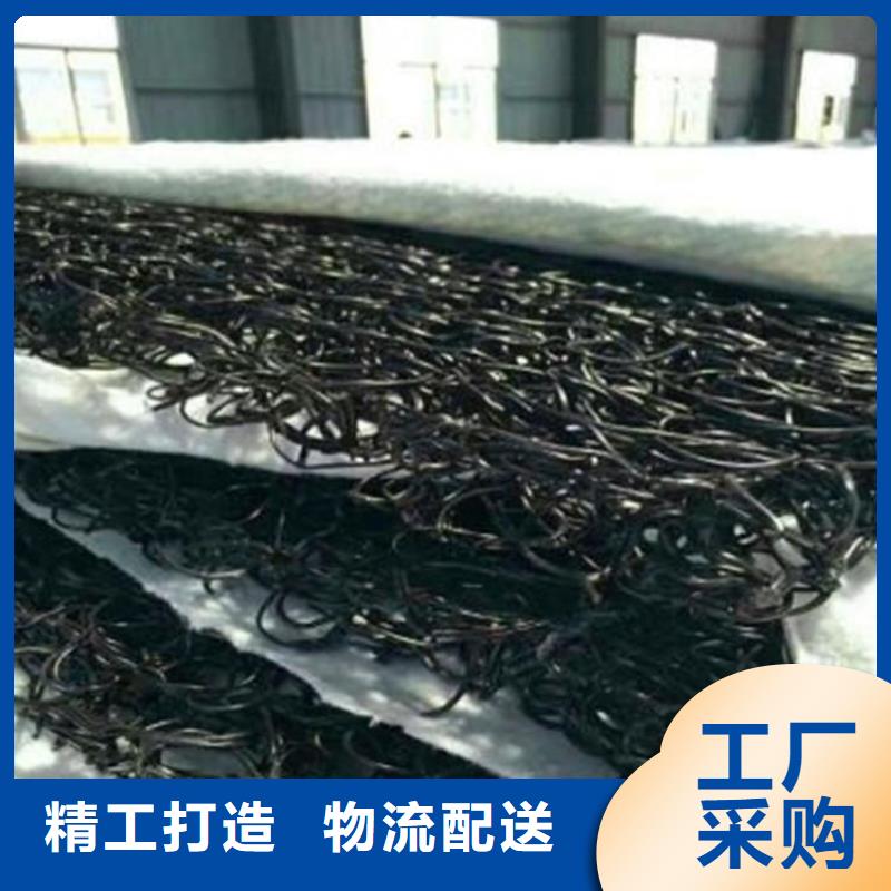 土工席垫双向土工格栅您想要的我们都有源头厂家量大价优