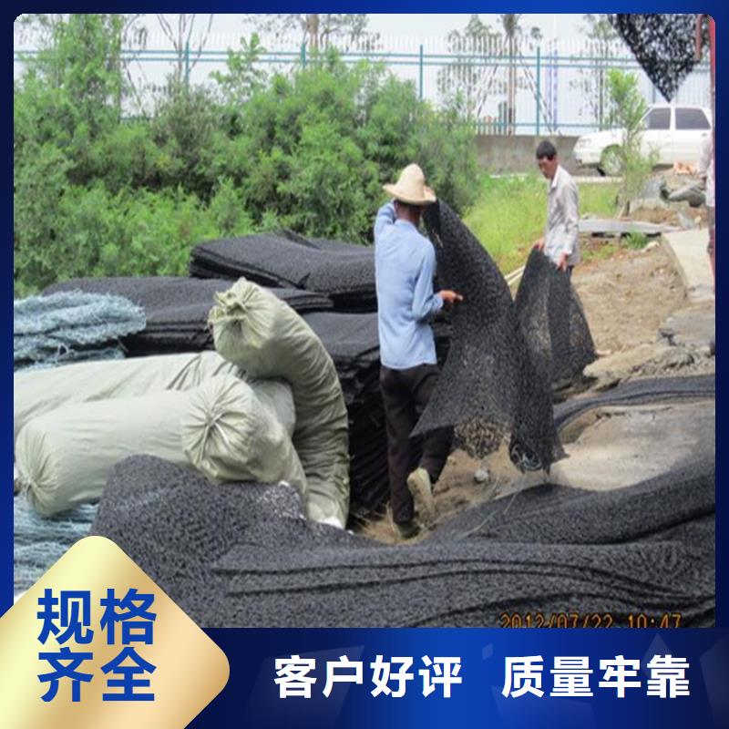 【土工席垫,双向塑料土工格栅生产经验丰富】优质原料