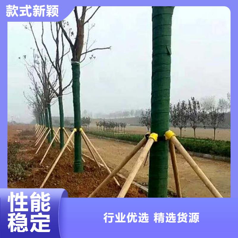 裹树布拉筋带优选原材当地厂家