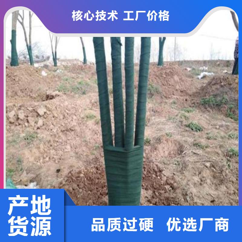 裹树布,蓄水板定制速度快工期短当地供应商