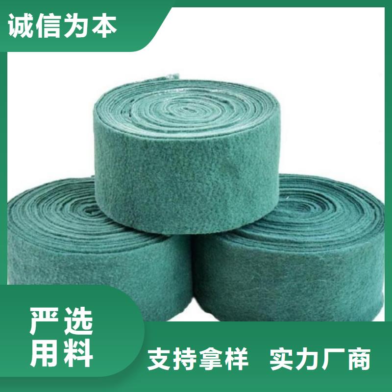 裹树布【HDPE复合排水板】专业生产厂家当地生产商