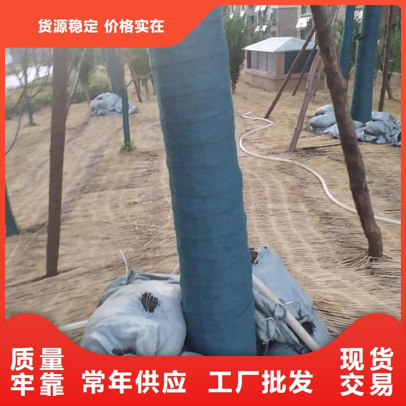 裹树布-双向塑料土工格栅追求细节品质本地货源