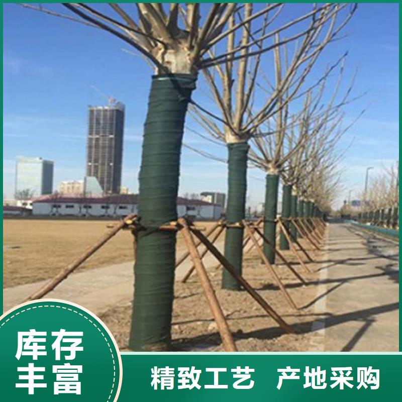 裹树布HDPE复合排水板专心专注专业同城生产商