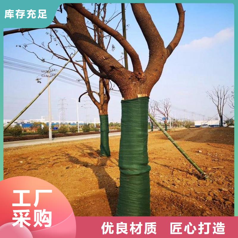 裹树布【土工格栅】现货满足大量采购厂家售后完善