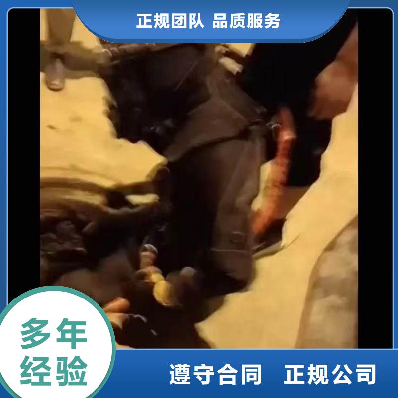 污水厂水中维保价格实惠周边服务商本地供应商