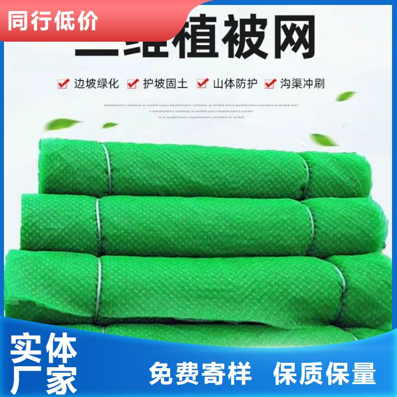 三维植被网土工布不断创新同城经销商