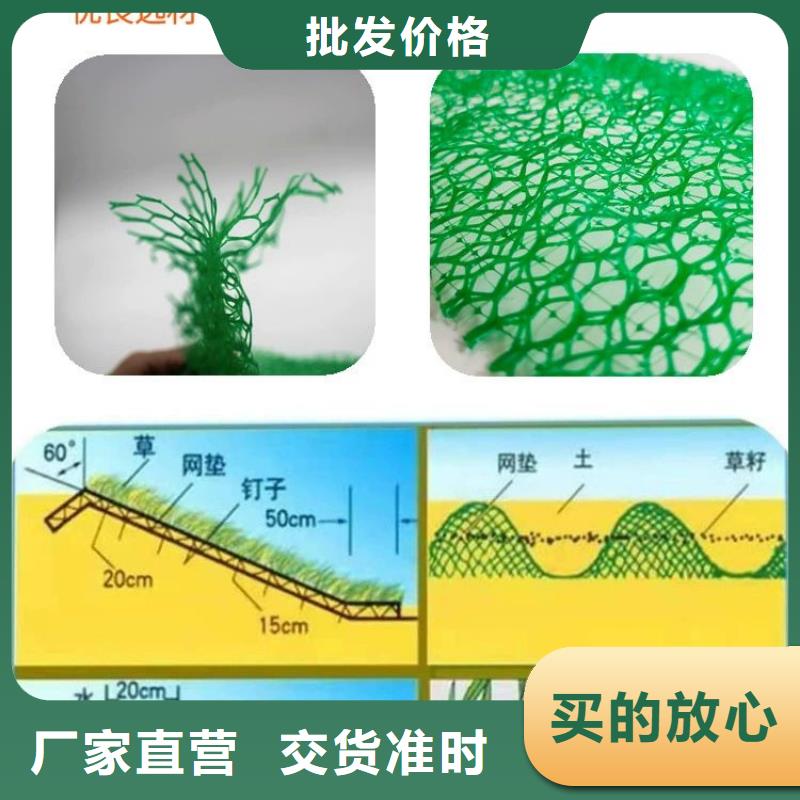 【三维植被网】-止水铜片诚信为本本地品牌