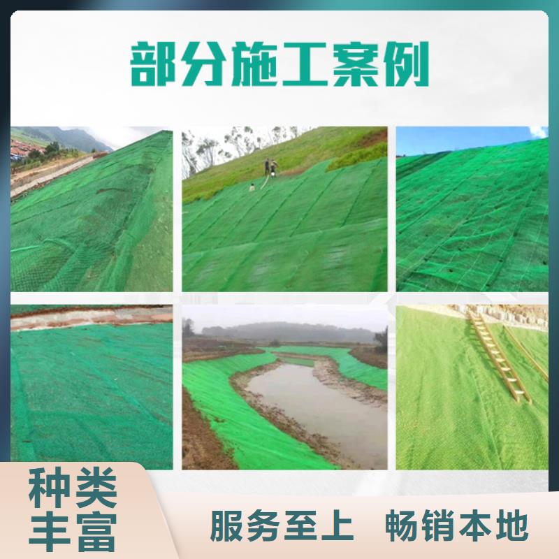 三维植被网聚丙烯纤维品质不将就专注生产制造多年