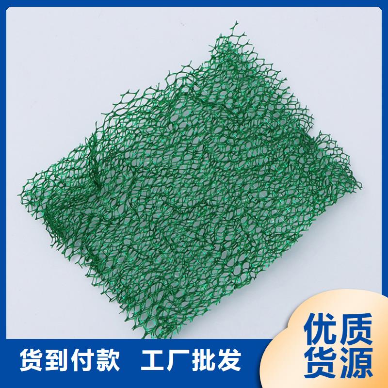 三维植被网聚丙烯单丝纤维好产品好服务打造好品质