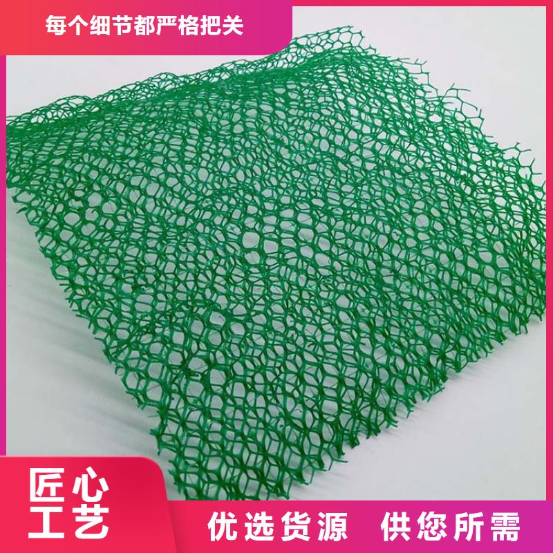 三维植被网-铜止水工厂现货供应好货直供