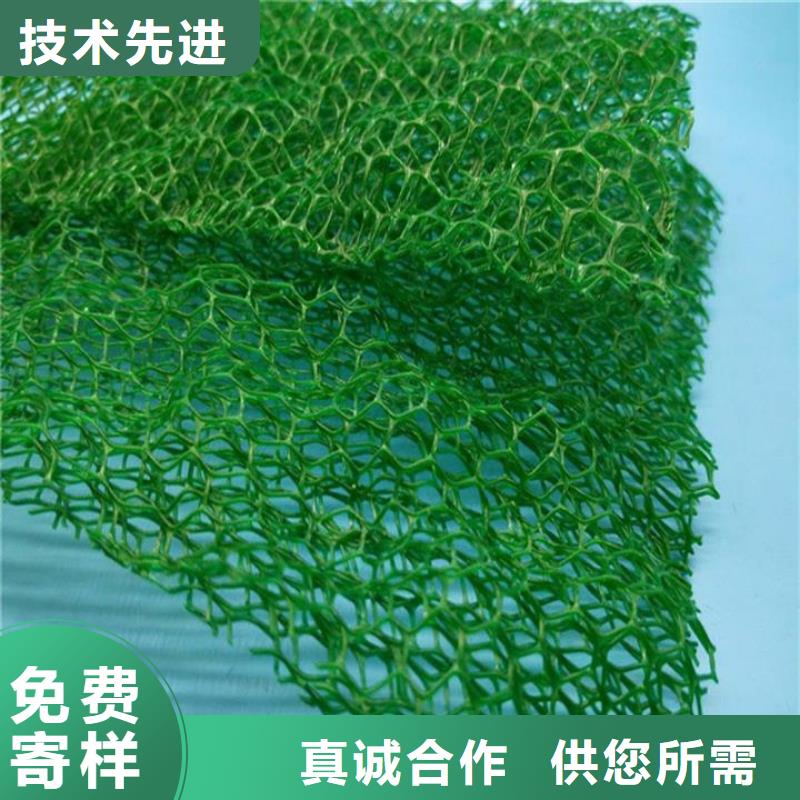 三维植被网铜片止水厂家规格型号全品质保证