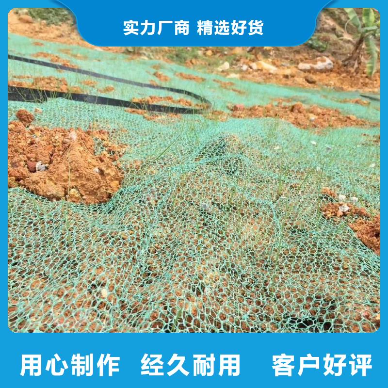 三维植被网-土工布追求品质产地直供