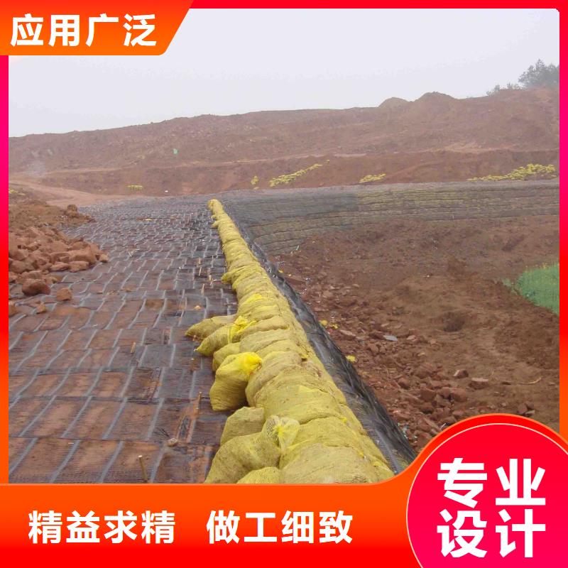 三维土工格栅网零售低价货源