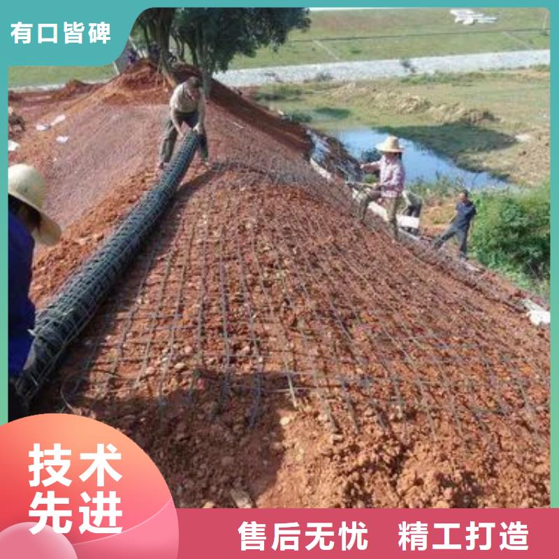 玻纤格栅施工价格实惠优势