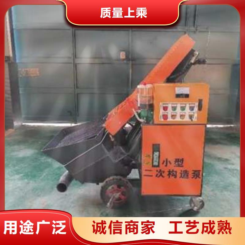 二次构造柱泵_钢筋混凝土泵匠心制造交货准时