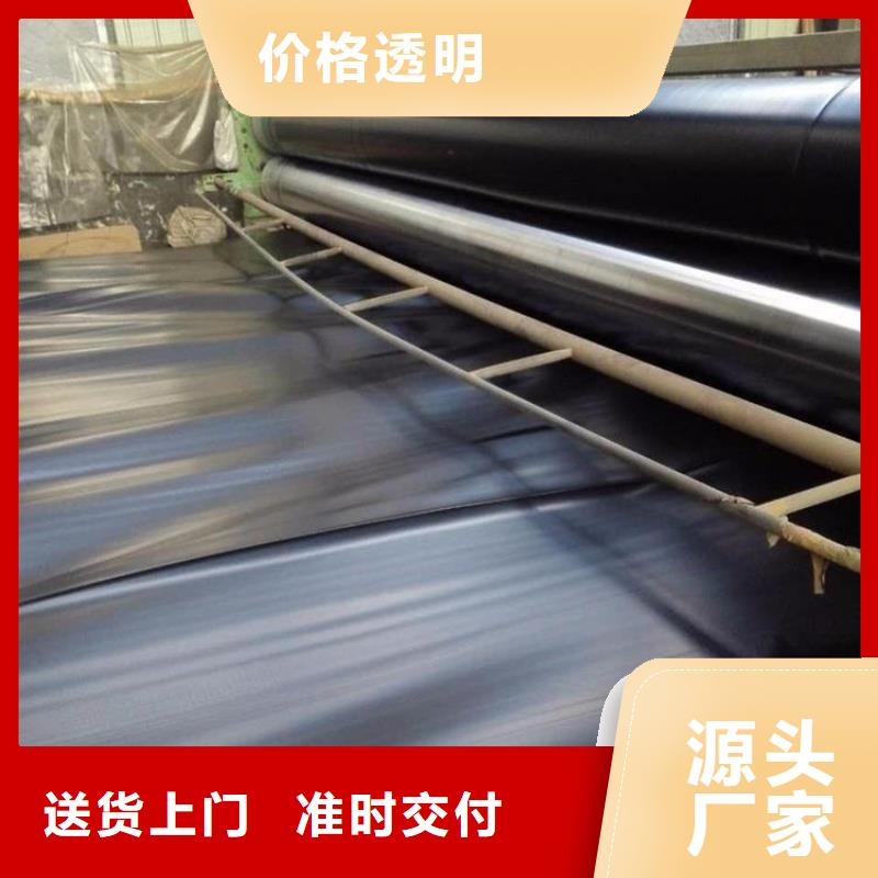 土工膜防渗膜丰富的行业经验层层质检