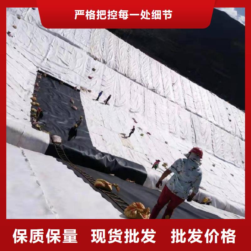 土工膜生态带品质好才是硬道理本地厂家