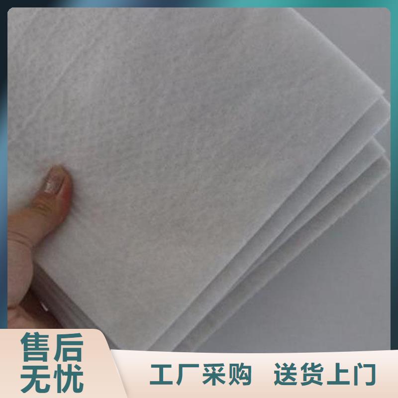 土工布拉筋带大厂家实力看得见当地制造商