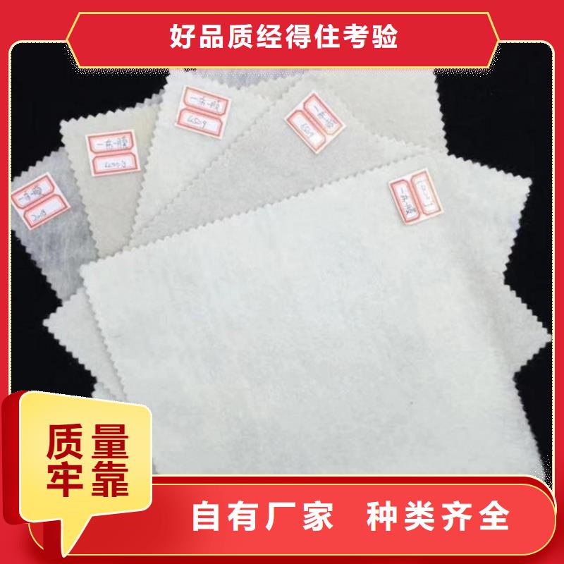 土工布,生态带专业的生产厂家自有生产工厂