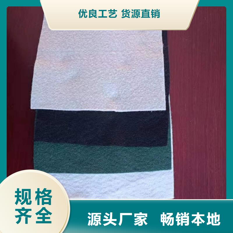 土工布双向土工格栅严谨工艺当地生产商