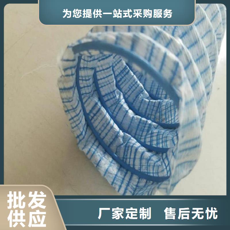 【软式透水管】双向塑料土工格栅注重细节本地生产厂家