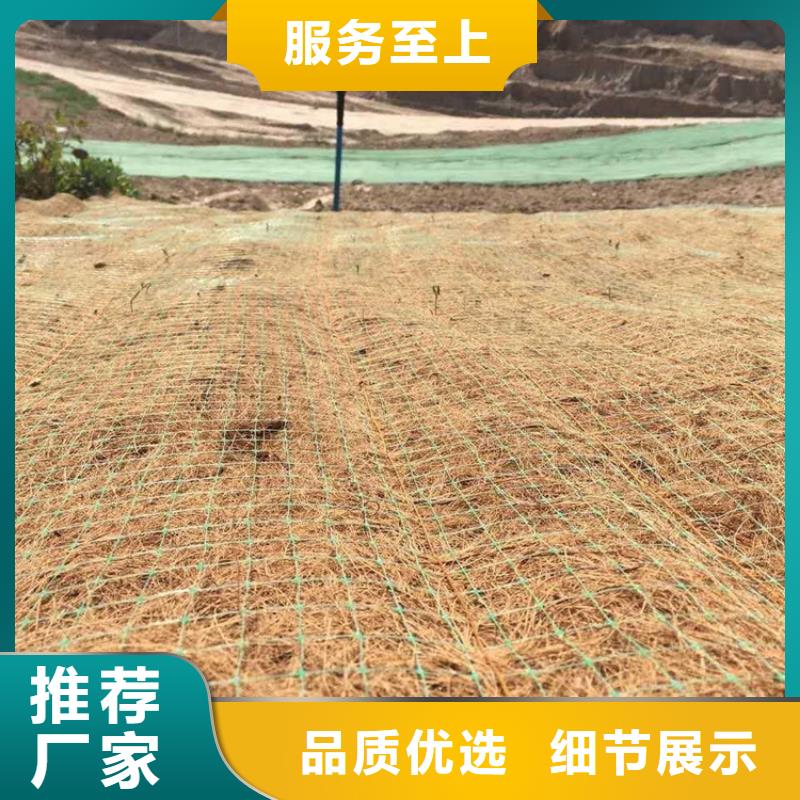 椰丝毯塑料盲沟用心制造快捷的物流配送