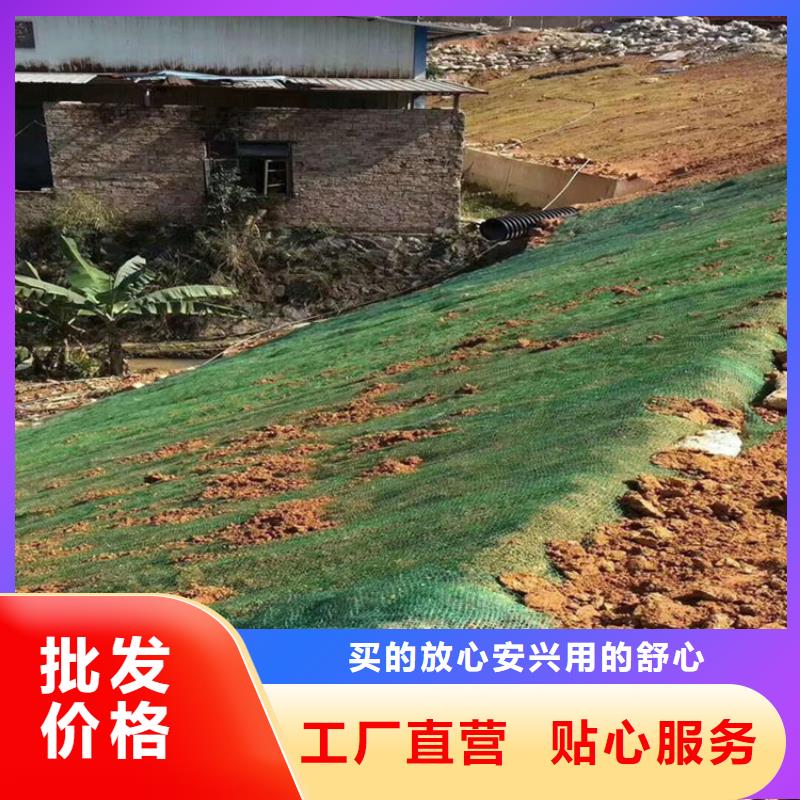 椰丝毯【拉筋带】产地批发供您所需