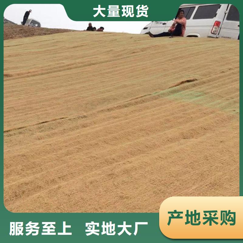 椰丝毯防渗膜准时交付工厂自营