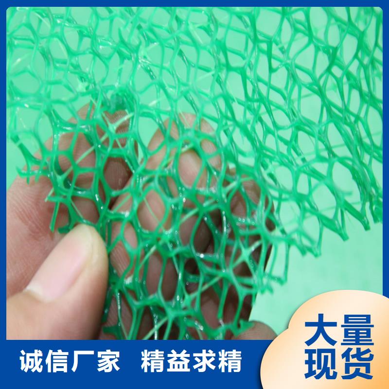 三维植被网玻纤格栅厂家直销省心省钱老客户钟爱