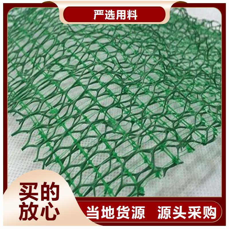 三维植被网塑料土工格栅来图定制量大从优当地生产厂家