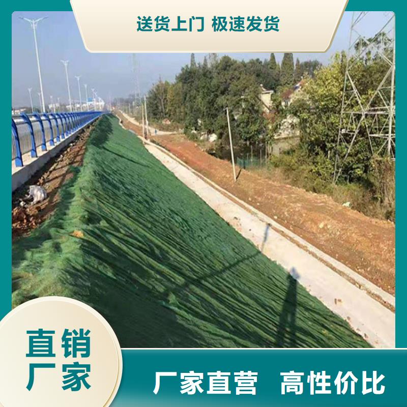 三维植被网,土工格栅采购无忧库存量大