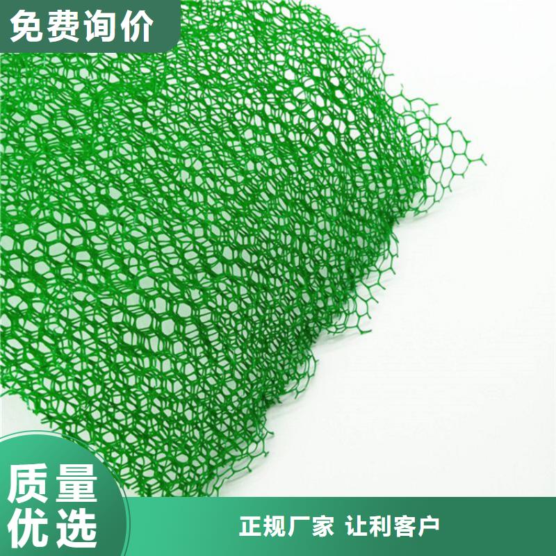 【三维植被网-土工格栅销售的是诚信】N年生产经验