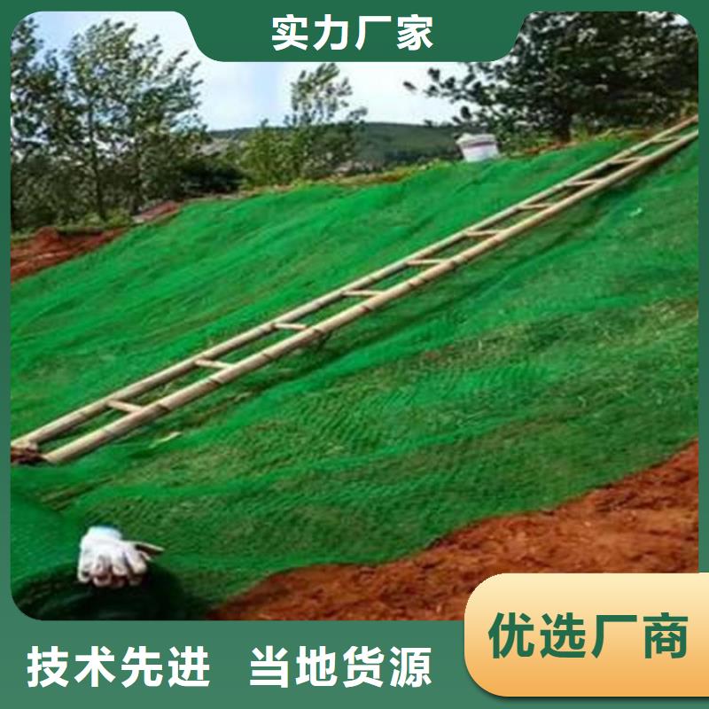 三维植被网-【土工膜】型号全价格低产品细节参数