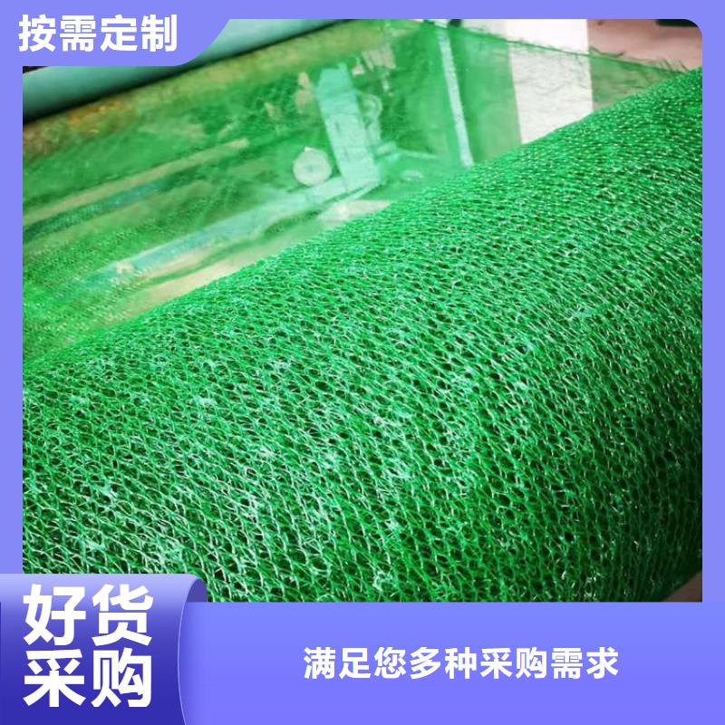 三维植被网,土工格栅诚信为本生产型