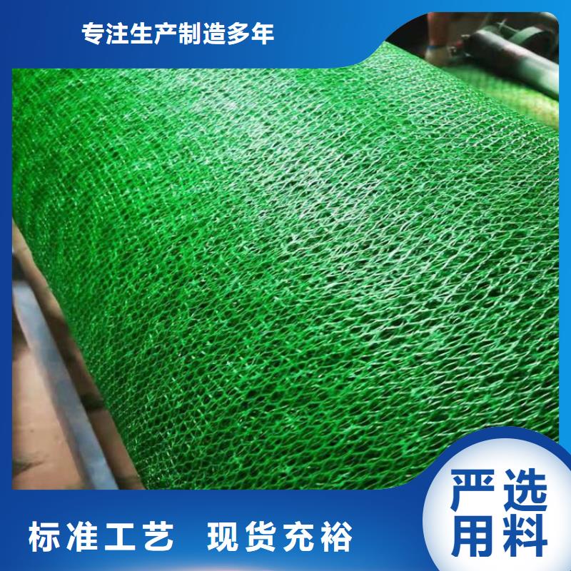 【三维植被网土工膜一站式采购方便省心】源厂直接供货