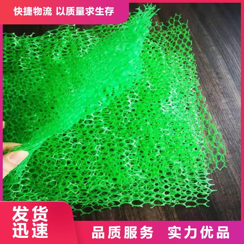 三维植被网玻纤格栅来图来样定制好品质经得住考验