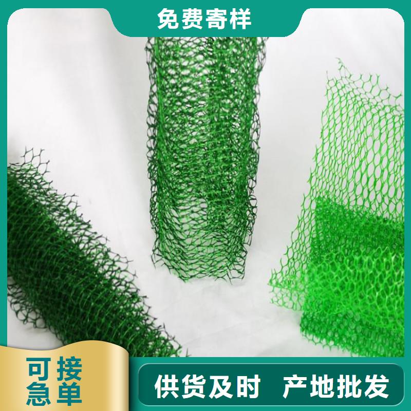 三维植被网土工格栅精选货源有口皆碑