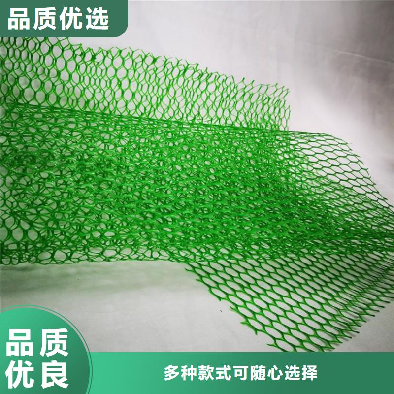 三维植被网HDPE土工膜层层质检实力见证