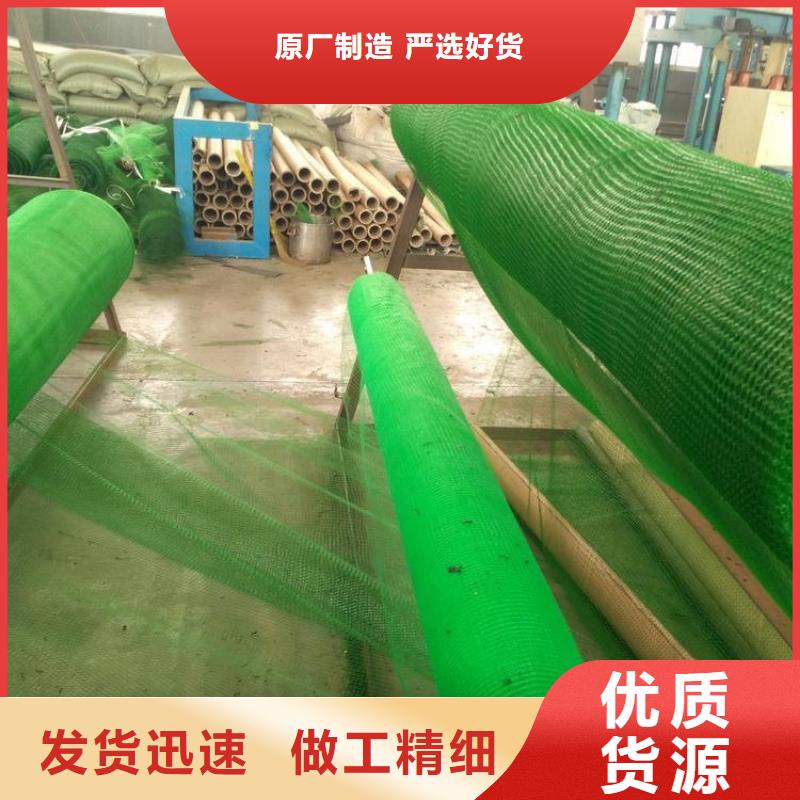 三维植被网【排水板】规格齐全敢与同行比价格
