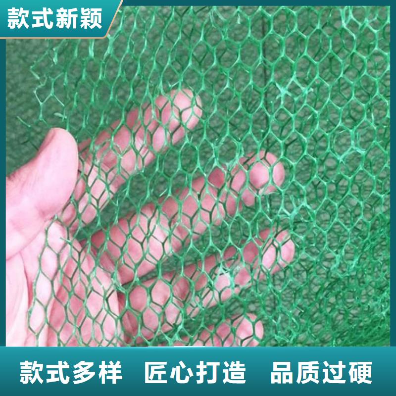 三维植被网【土工布】质量三包同城生产商