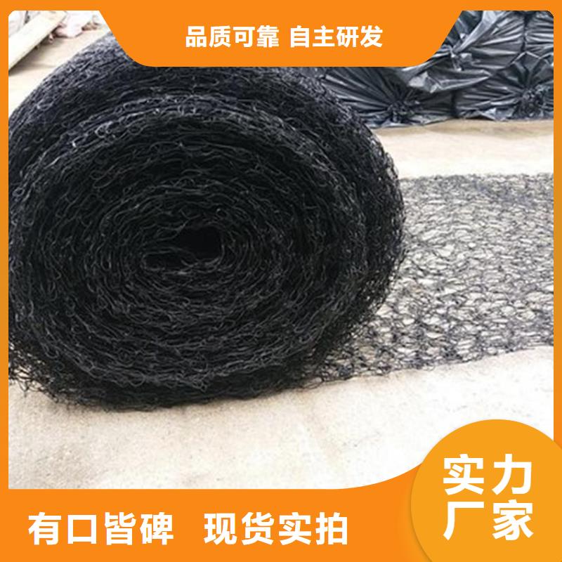 【通风降噪丝网】土工格栅品质优良多家仓库发货