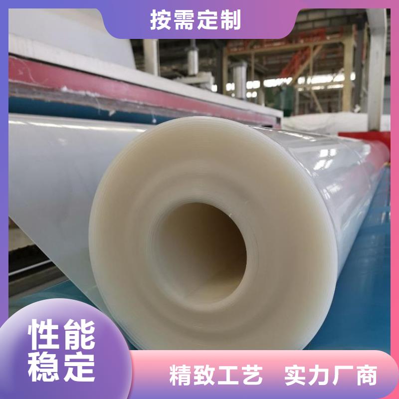 防水板膨润土防水毯大量现货供应当地品牌