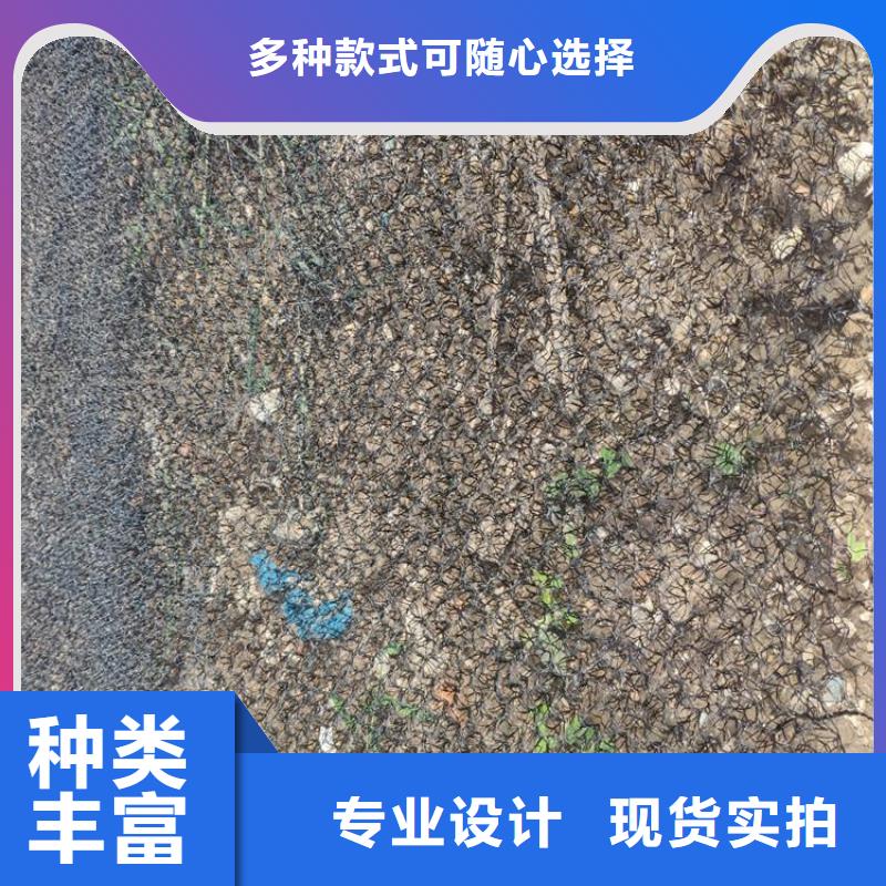 水土保护毯土工格室原厂制造一手货源