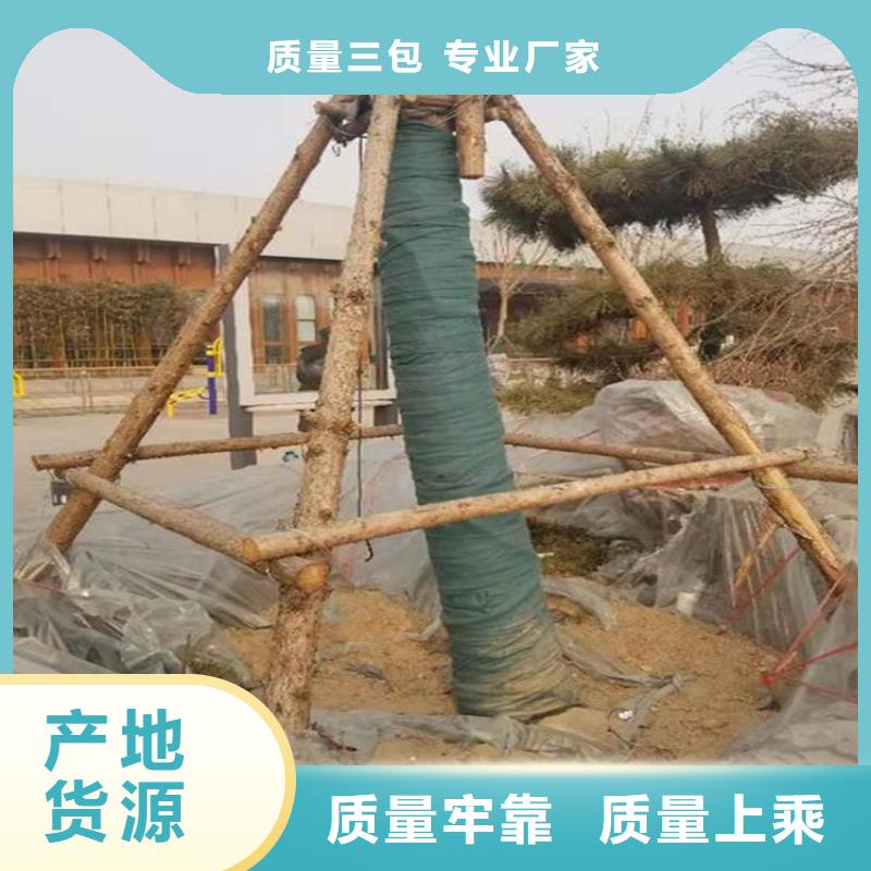 裹树布-防裂贴货源充足本地公司