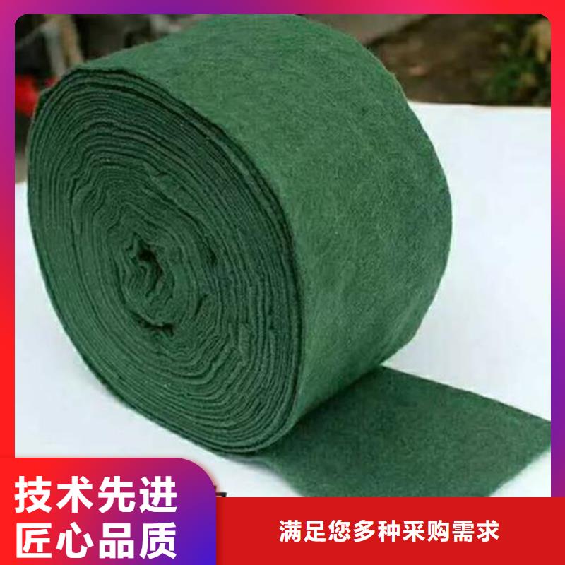 裹树布土工格栅专注细节更放心一站式供应厂家