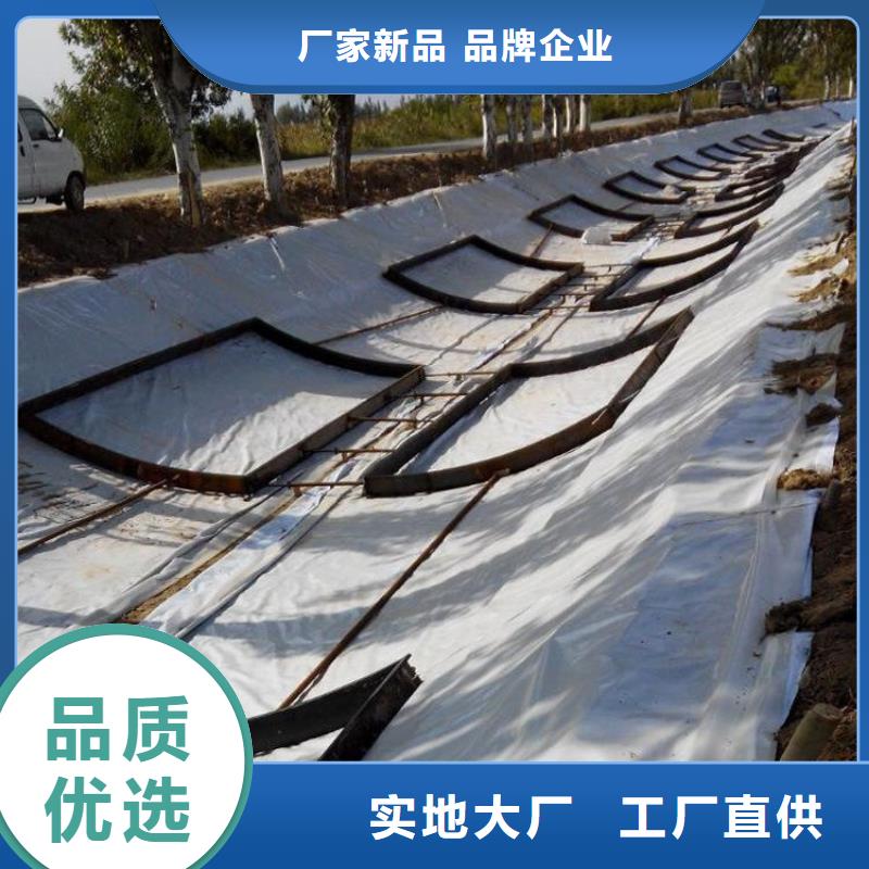 【土工膜 钢塑格栅厂家质量过硬】实体厂家