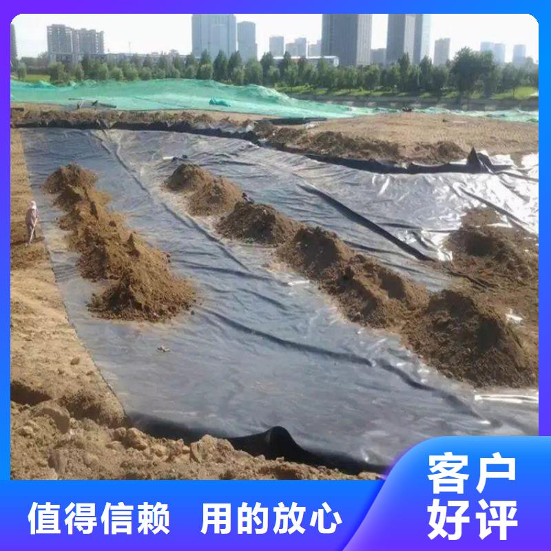 土工膜,双向土工格栅订制批发厂家规格全
