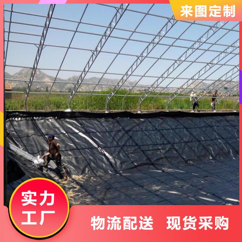 土工膜HDPE土工膜货源稳定免费询价