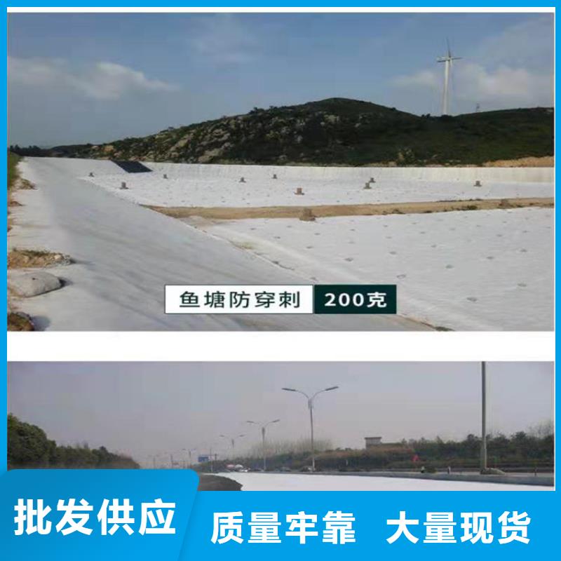 【土工布】防渗膜质检合格发货本地品牌