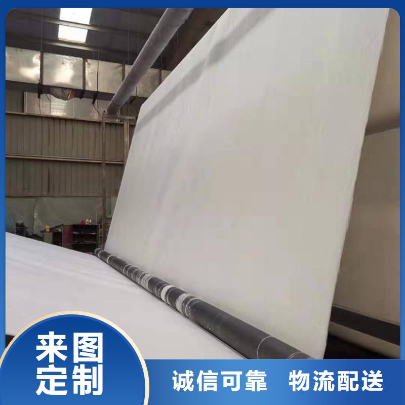 土工布,塑料土工格栅大厂家实力看得见当地供应商